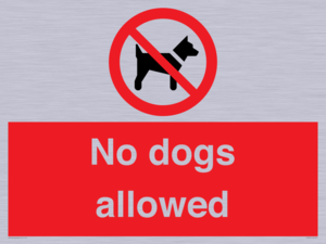 No dogs allowed